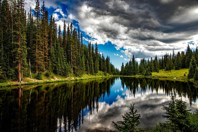 State Drug Charge Lawyer Colorado