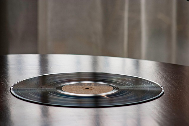 Vinyl Flooring Denver