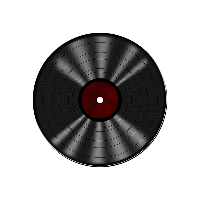 Vinyl Flooring Denver