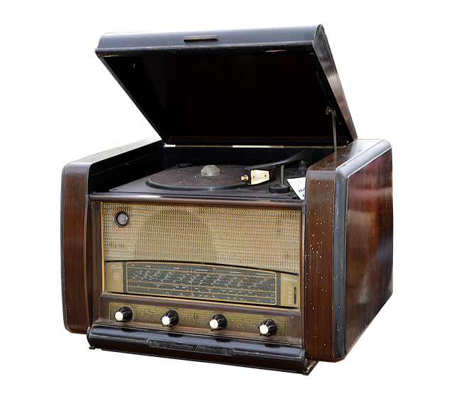 Vinyl Flooring Denver