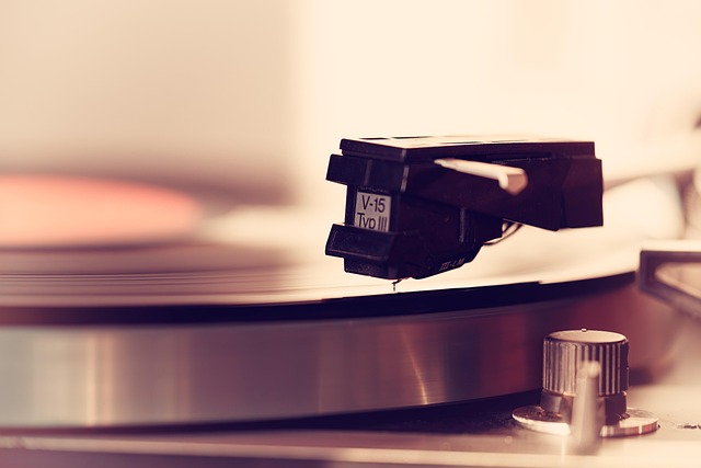 Vinyl Flooring Installation Denver