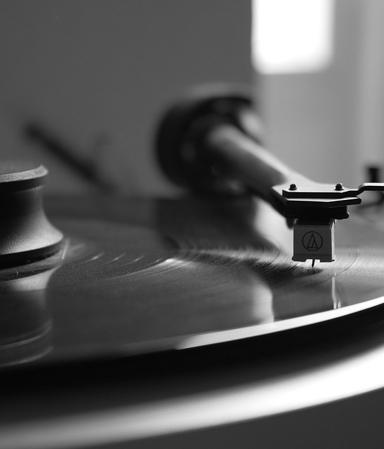 Vinyl Flooring Installation Denver