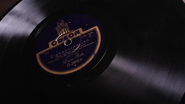 Vinyl Flooring Installation Denver