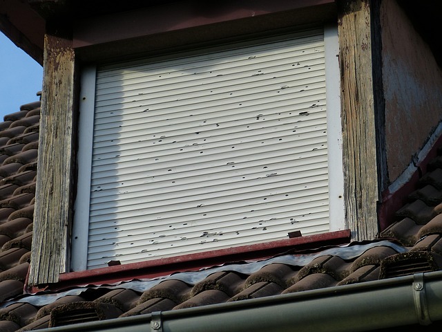 water-damage-cleanup-denver-640x480-10867390.jpeg