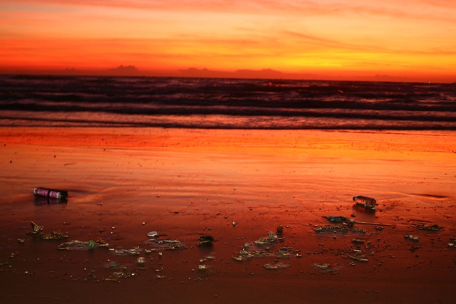 Water Damage Cleanup Denver