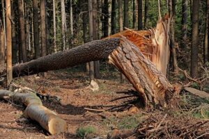 water-damage-mitigation-denver-640x480-1304652.jpeg