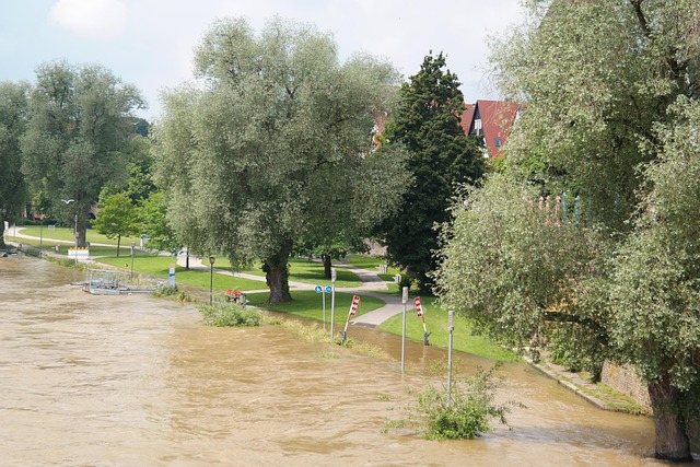 Water Damage Recovery Denver