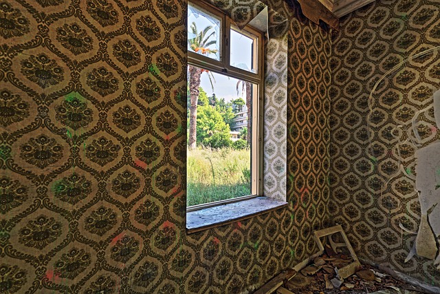 Water Damage Recovery Denver