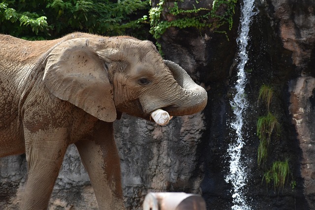 Water Damage Remediation Denver