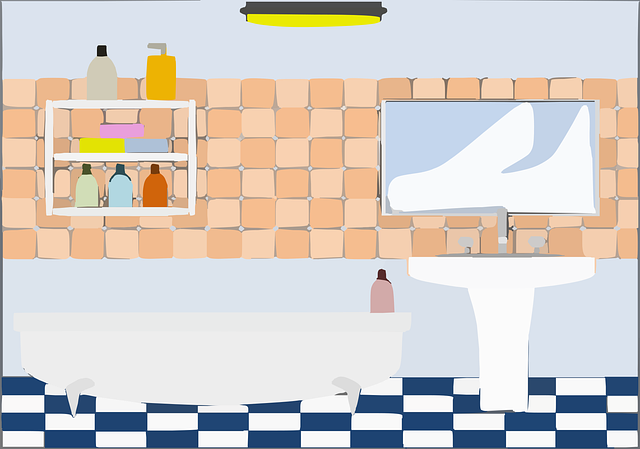 Bathroom Plumbing Arvada