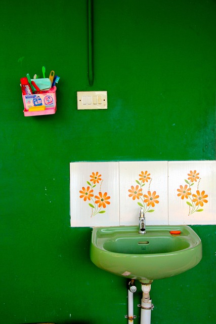 Bathroom Plumbing Arvada