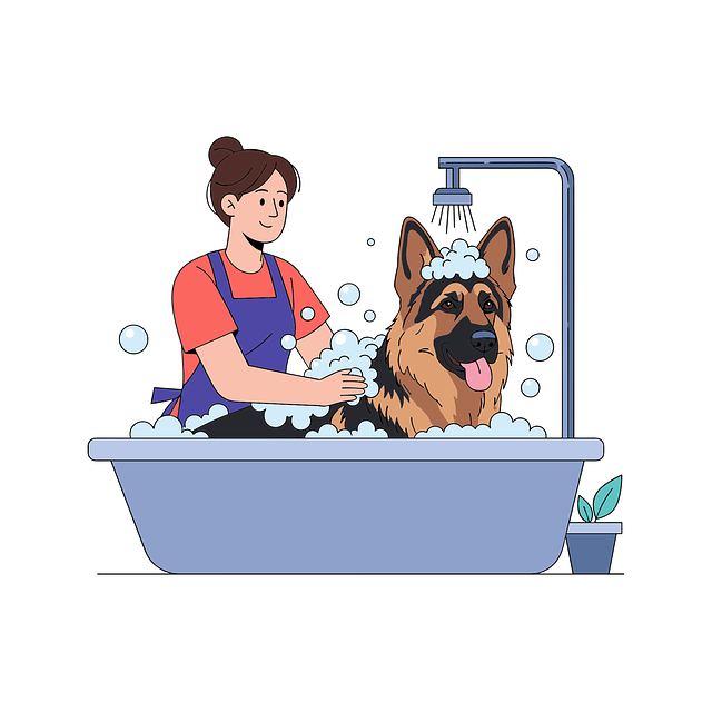 Bathtub Installation Services Arvada