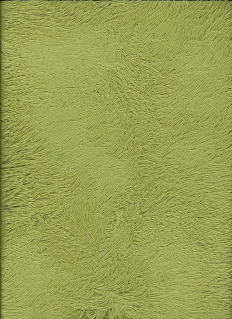 Carpet Repair Denver