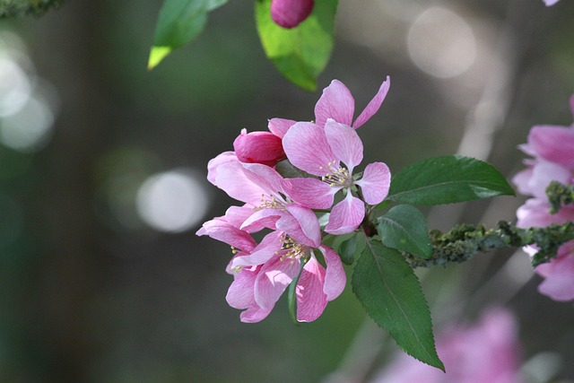 Colorado DUI Penalties Lawyer