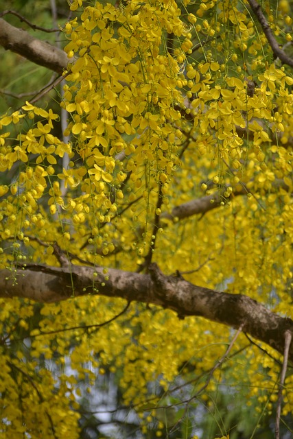 Custom Shower Installation Arvada