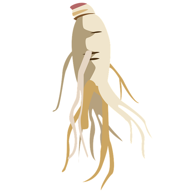 Denver Sewage Remediation