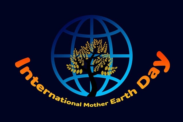 Denver Water Restoration