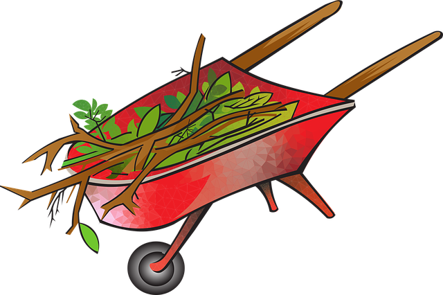 Disaster Cleanup Services Denver