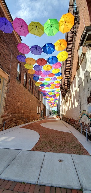 Dishwasher Installation Services Arvada