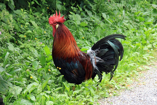 Faucet Installation Services Arvada