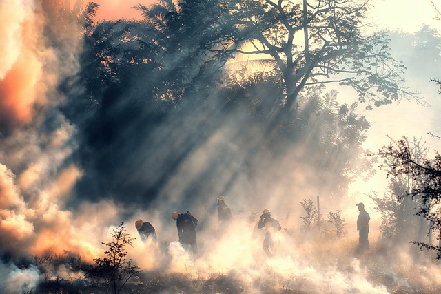 Fire and Smoke Restoration Denver