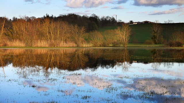 Flooded Basement Cleanup Denver