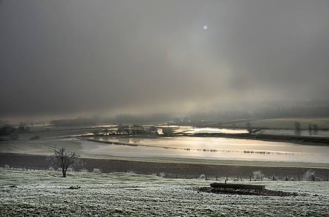 Flooded Basement Restoration Denver