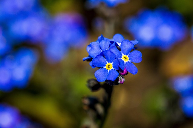 Gas Plumber Near Me Arvada