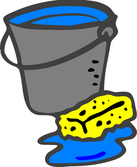 Hardwood Floor Cleaning Denver