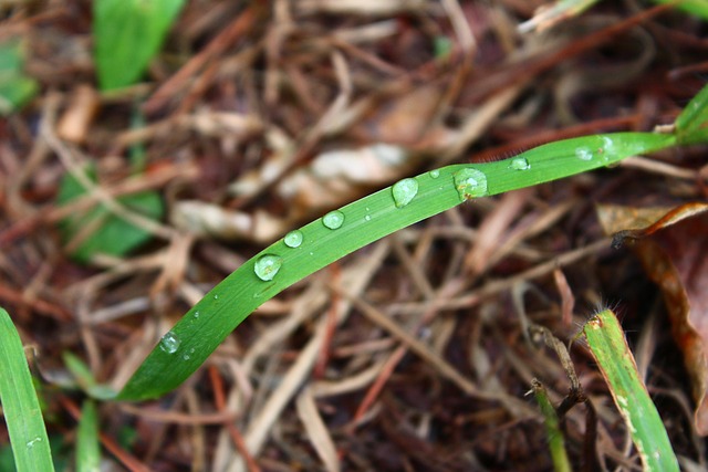 Home Water Filter Arvada
