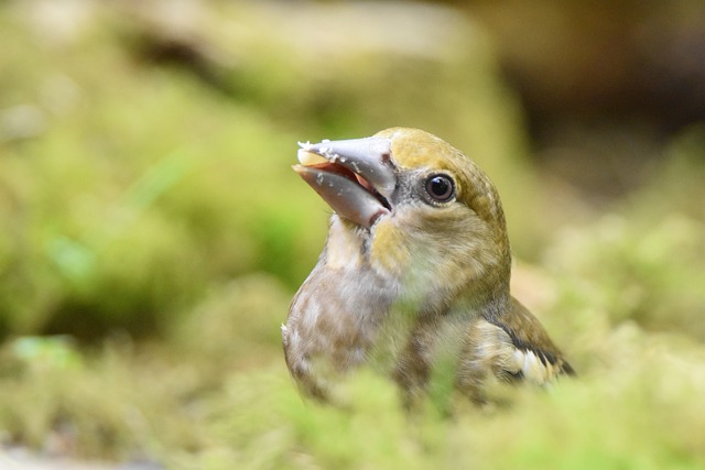 Juvenile Drug Crime Attorney Denver