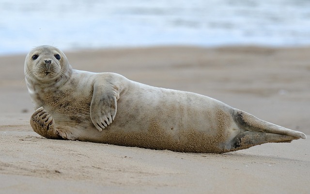 Juvenile Drug Crime Attorney Denver