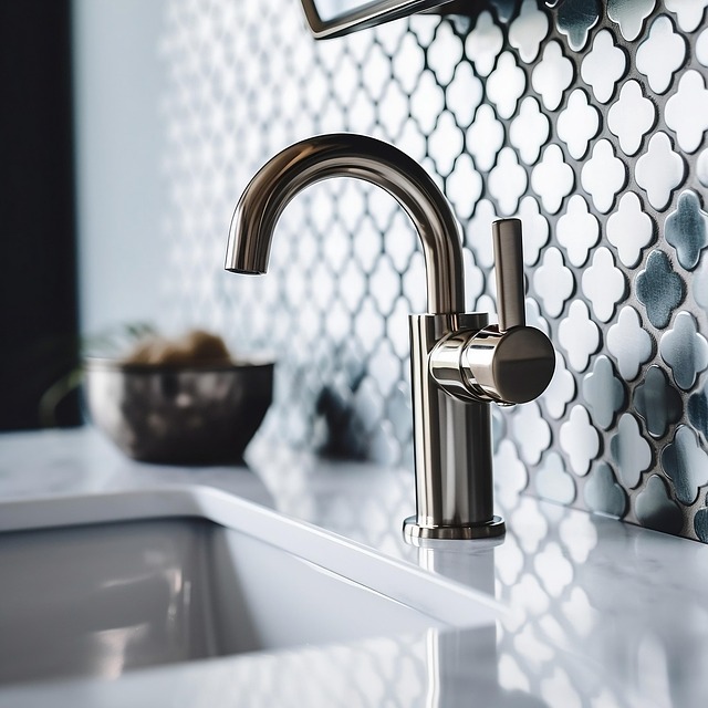 Kitchen Sink Plumbing Arvada