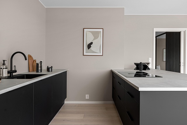 Kitchen Sink Plumbing Arvada