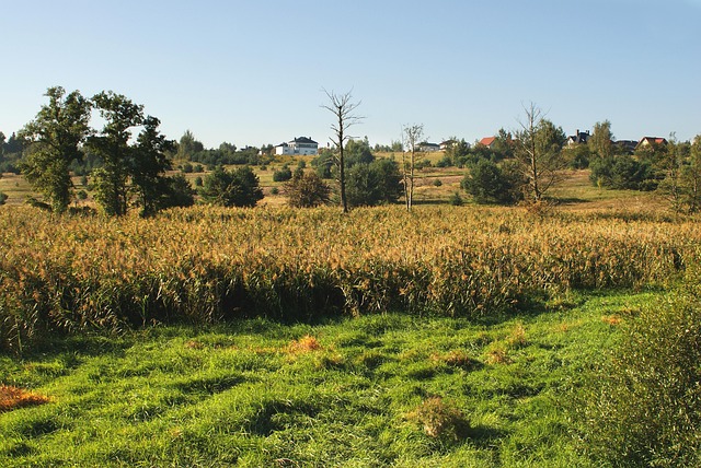 Licensed Plumber Arvada