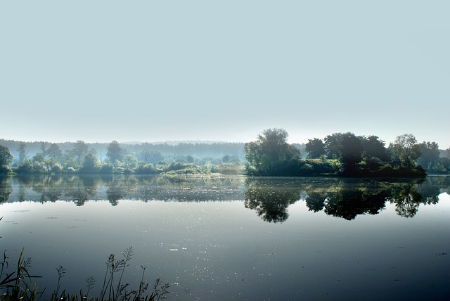 Licensed Plumber Arvada