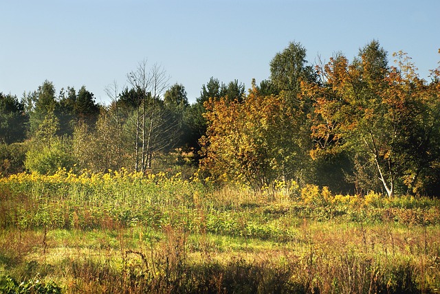 Licensed Plumber Arvada