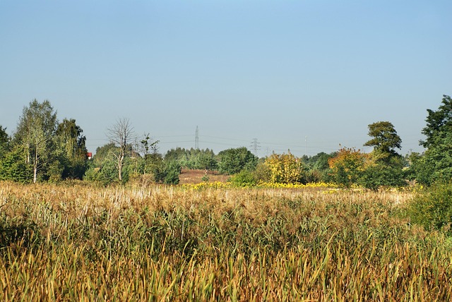 Licensed Plumber Arvada