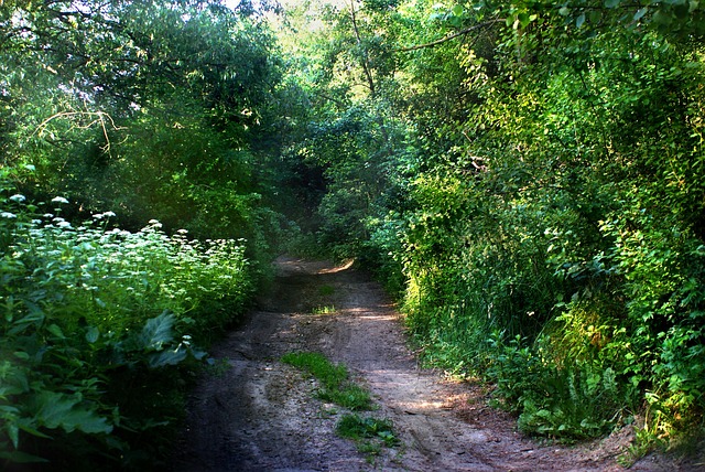 Licensed Plumber Arvada