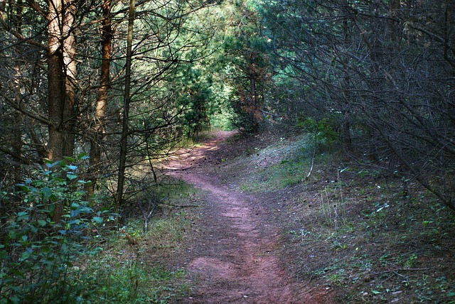 Licensed Plumber Arvada