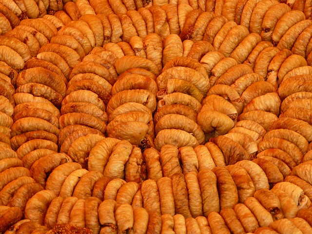 Local Plumber Arvada