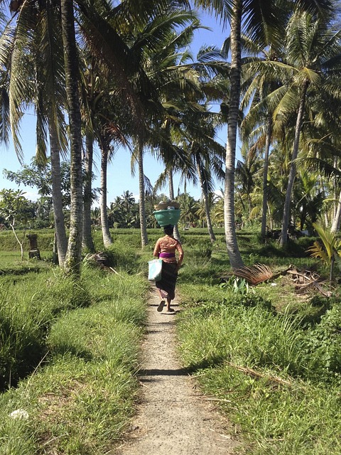 Local Plumber Arvada