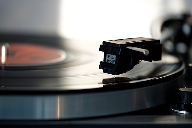 Luxury Vinyl Flooring Denver