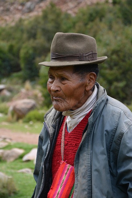 Mold Inspection Denver