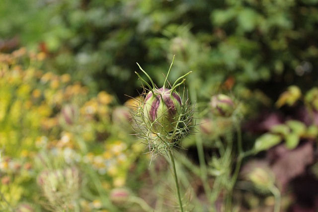 Mold Remediation Denver