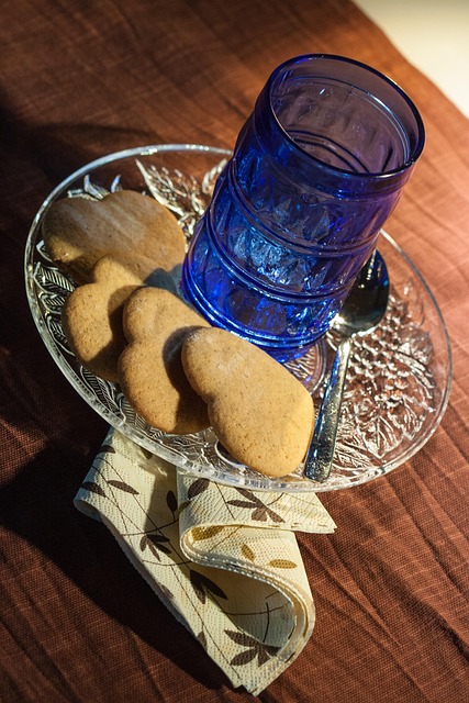 Mold Removal Services Denver