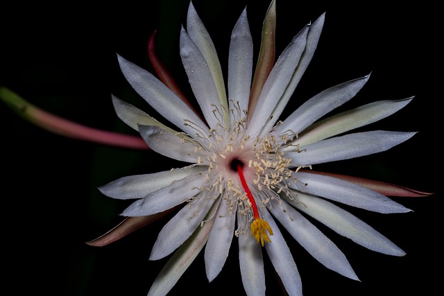 Pipe Leak Repair Arvada