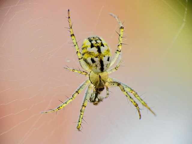 Plumber Near Me Arvada