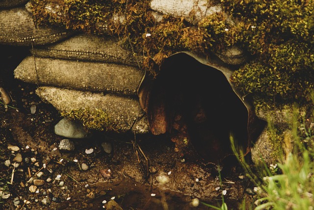 Plumbing Estimates Arvada