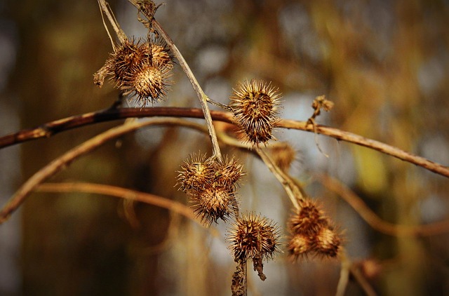 Under 21 DUI Attorney Denver